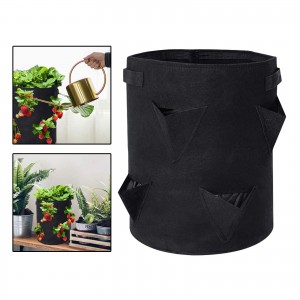 8-package 10 gallon Future Way Strawberry Grow Bag