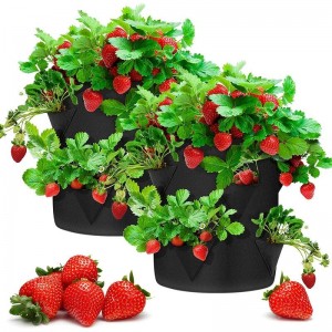 8-package 10 gallon Future Way Strawberry Grow Bag