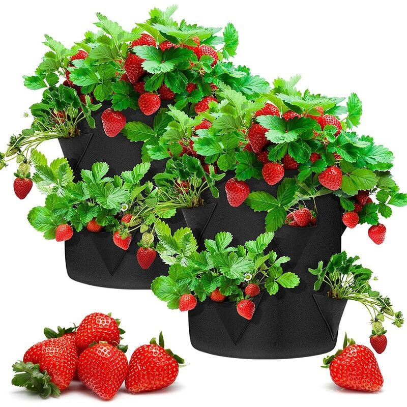 8-package 10 gallon Future Way Strawberry Grow Bag Featured Image