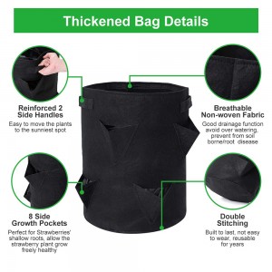 8-package 10 gallon Future Way Strawberry Grow Bag