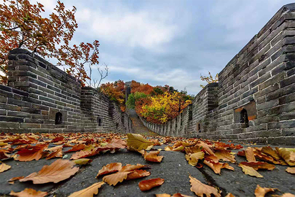 Autumn View in The Great Wall