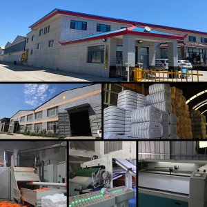 Audited Felt Factory Production Line