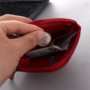 Felt Money Pouch