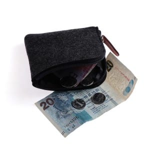 Felt Money Pouch