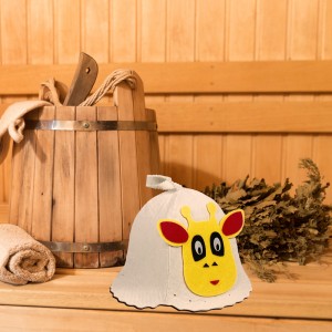 sauna equipment