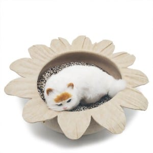 Free sample for Ladies Wool Hat - Hard Felt Cat House – Rolking
