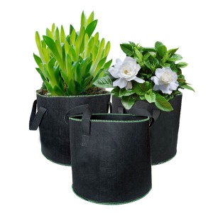 Versatile and eco-friendly gardening solution  Green Edge Non-woven Grow Bag