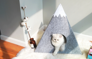 Felt Cat House with Snowberg