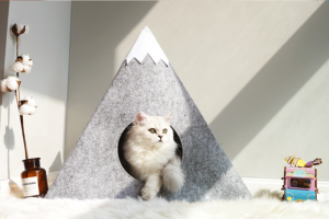 Felt Cat House with Snowberg