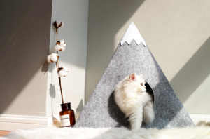 Felt Cat House with Snowberg