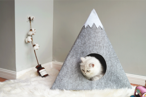 Felt Cat House with Snowberg