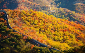 XiangShan Maple Leaf (1)