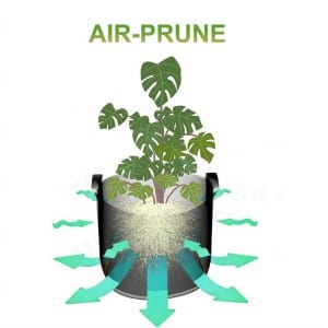 Versatile and eco-friendly gardening solution  Green Edge Non-woven Grow Bag