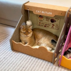 Durable Acoustic Panel Cat Bed – Wool Felt Nest for Cats & Small Dogs