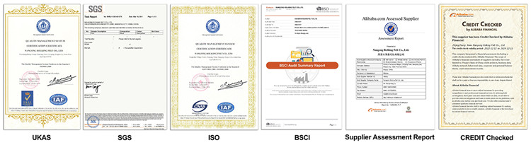 certificado (2)