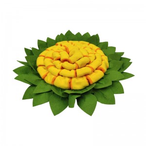 太阳花 (1)_1