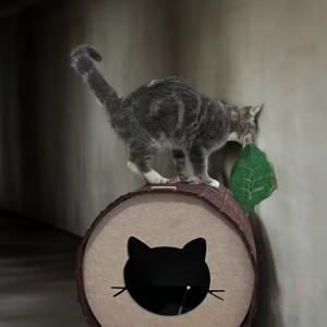 Cute Acoustic Panel Cat Bed – Multi Color Felt Cat Cave House, Cozy Popular Pet House for Indoor Puppies & Cats