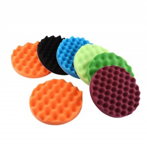 polishing pad (31)